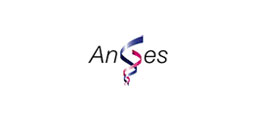 Anses